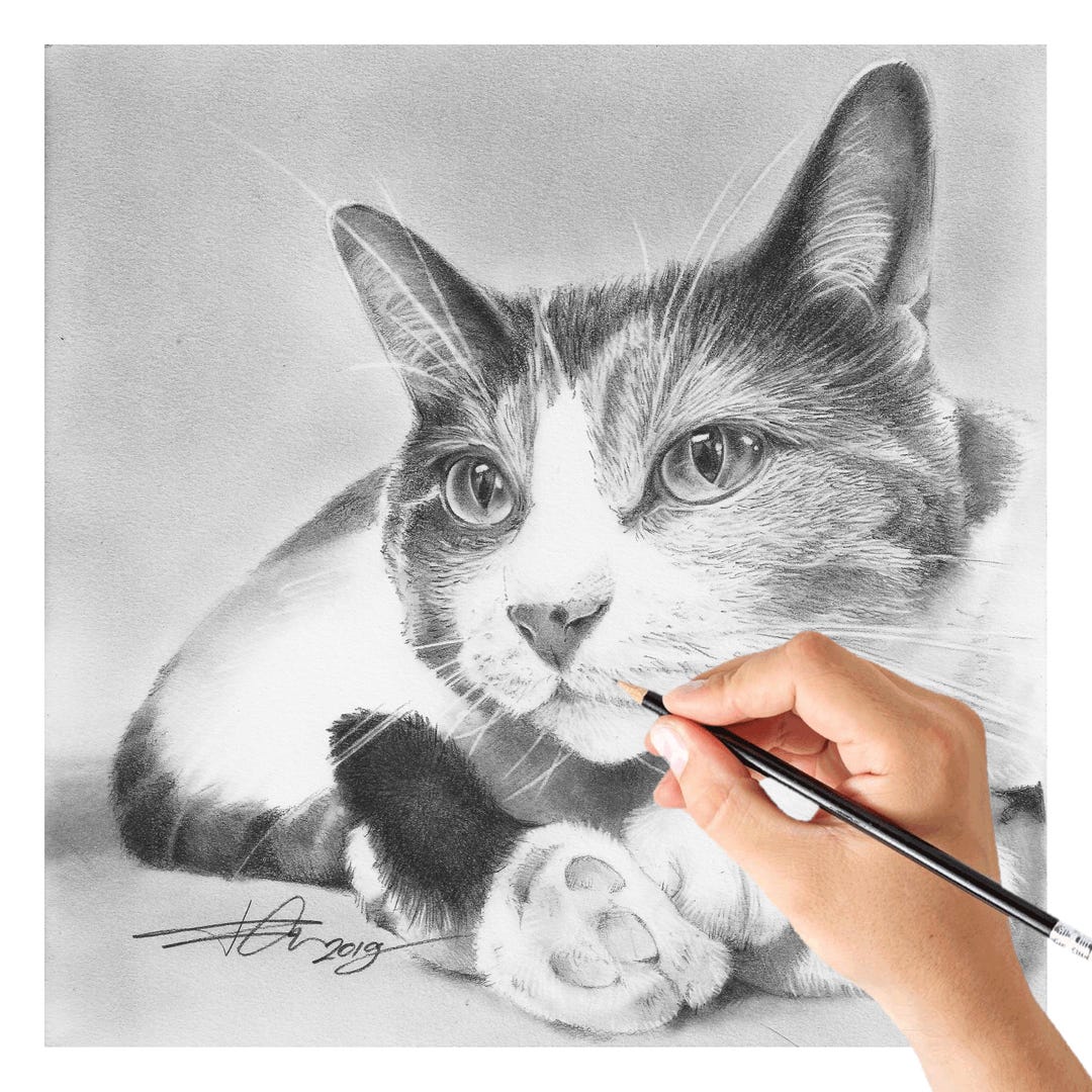 100% Handmade, Custom Hand Drawn Pet Portrait From Photo, Graphite ...