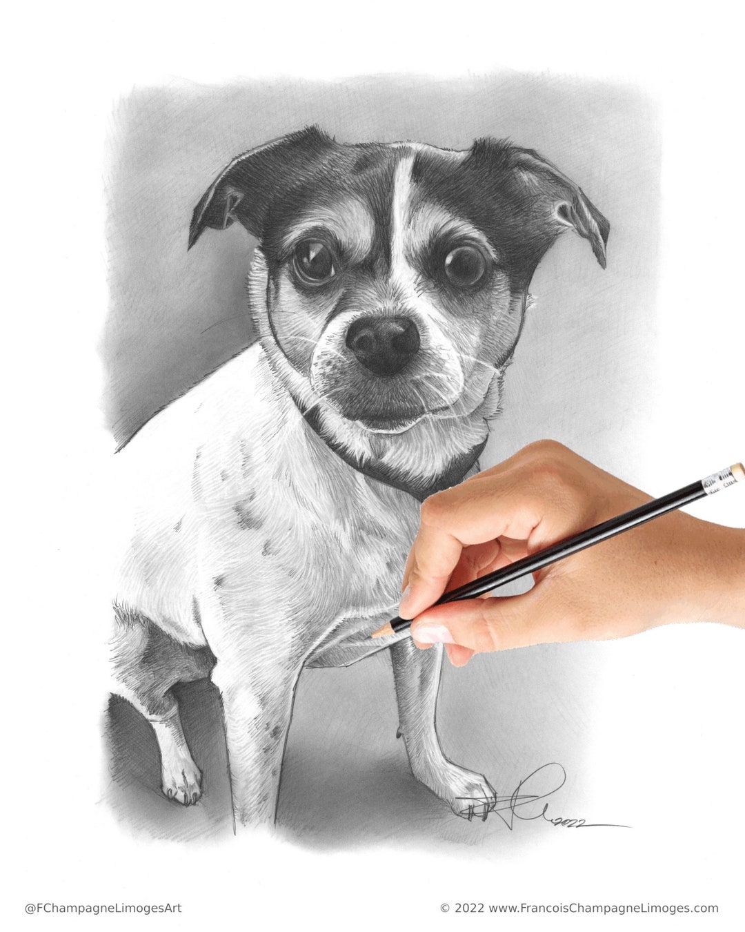 100% Handmade, Custom Hand Drawn Pet Portrait From Photo, Graphite ...