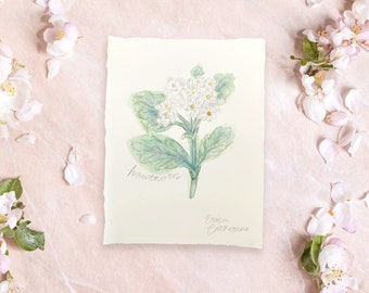 May Birth Flower Original Drawing - May Birthday gift - Lily of the Valley Flower - Hawthorn Flower - Birth flower art - family birth flower