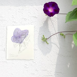 September Birth Flower Original Drawing - September birthday gifts - Aster Flower - Morning Glory Flower - Birth Flower artwork
