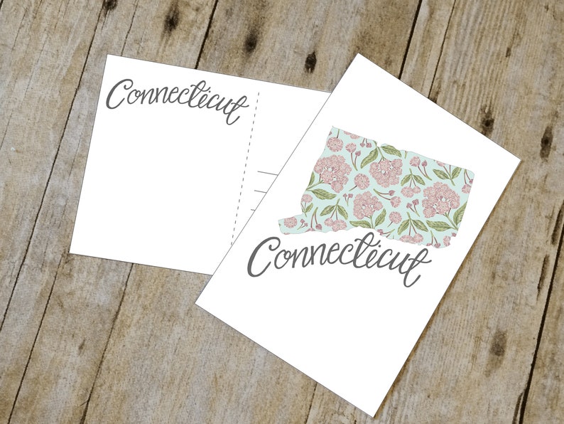 Connecticut State Map Illustrated Postcard