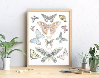 Vintage Butterfly Art Print - Housewarming Gift for her - Vintage home decor art