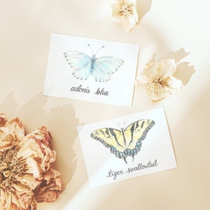 Butterfly Notecard Set - Illustration Butterfly vintage - Cartes de notes de tous les jours
