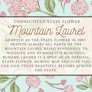 Mountain Laurel floral Scarf Connecticut State Flower Pennsylvania State Flower Connecticut themed gift Pennsylvania themed gift image 8