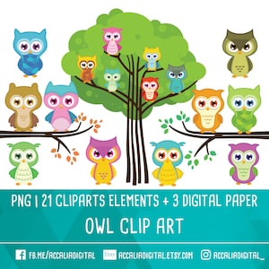 Owl clip art, Owl friends clip art, cute animal, Digital paper, digital clipart, Instant Download PNG 300 dpi