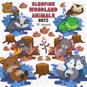 Slapende Woodland Clipart set 2, rustende dieren, duttende Forest Friends sticker, bos babyshower, Decor van de kinderkamer
