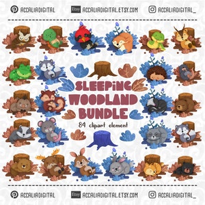 Sleeping Woodland Clipart bundel, Rustende dieren, duttende Forest Friends sticker, bosrijke babydouche, Kinderkamer Decor