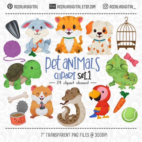 Oblee Marketplace  Pets Cliparts digitais de filhotes de gato