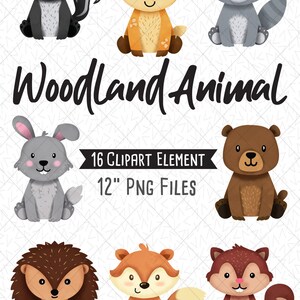 May include: A set of 16 woodland animal clipart illustrations. The animals are all sitting down and have a cute cartoon style. The animals include a deer, raccoon, skunk, rabbit, bear, hedgehog, fox, and squirrel. The illustrations are 12 inches in size and are in PNG format.
