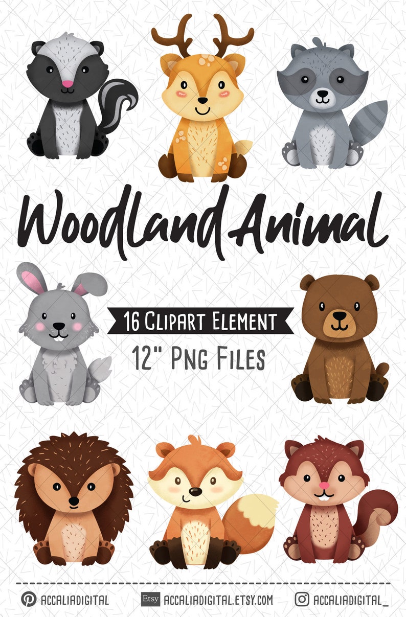 May include: A set of 16 woodland animal clipart illustrations. The animals are all sitting down and have a cute cartoon style. The animals include a deer, raccoon, skunk, rabbit, bear, hedgehog, fox, and squirrel. The illustrations are 12 inches in size and are in PNG format.