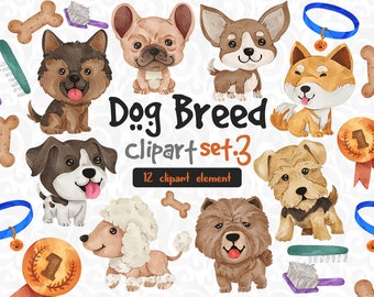 Aquarell Hund Clipart Set 3 | Niedliche Corgis, Bullterrier, Beagle, Husky, Mops | Digitale Illustrationen für Bastelarbeiten, Einladungen