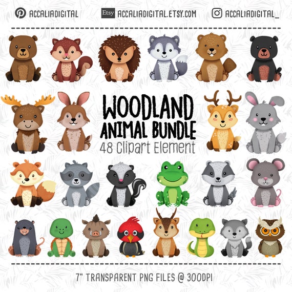 Pacchetto clipart, animali del bosco, download digitale, disegno e