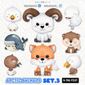 Arctic Animals Clipart: Winter Holiday Set 3 (PNG)