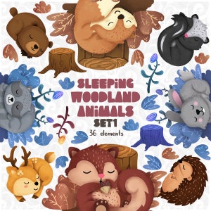 Slapende Woodland Clipart set 1, Rustende dieren, duttende Vriendensticker, bosbabyshower, Kinderdagverblijfdecor