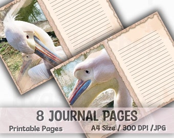 Pelican Junk Journal Pages, Pelicans digital paper, Junk Journal Pages, Water Bird, Birds Junk Journal Kit, Lined Journal Pages, Sheets, DIY