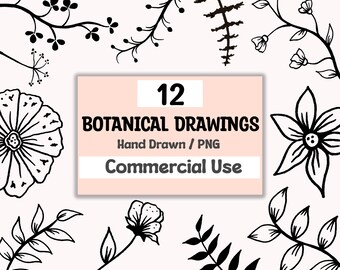 Botanical Clipart, Botanical Bundle, Flower Elements, Floral Design, Wildflowers Clipart, Floral PNG, Flowers PNG, Commercial Use Included