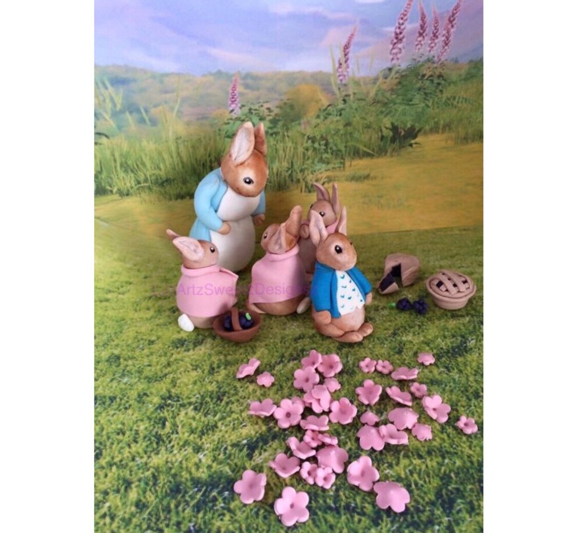 DELIVERY Worldwide 3D Traditional Peter Rabbit Mrs Rabbit Etsy