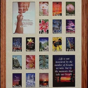 16x20 School Years Collage Frame, Holds School Years Pictures, Birth to Senior   Choice of Mat & Frame (letters)