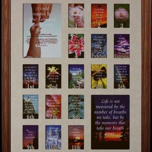 16x20 School Year Collage, Birth to Senior   Choice of Mat & Frame (numbers)