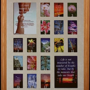 16x20 Age Progression Collage  birth to 18 picture frame  Holds School Years Pictures  Choice of Mat & Frame  Numbers
