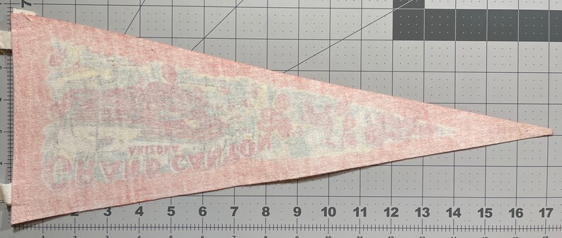 Grand Canyon Vintage Pennant Arizona