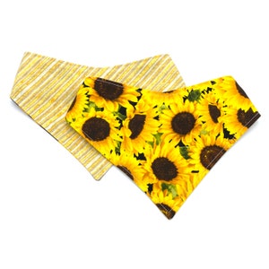 Sunflowers - Pet Bandana - adjustable - reversible - dog bandana - Stitches & Sass - Fall Bandana - Autumn Bandana - Harvest - Floral