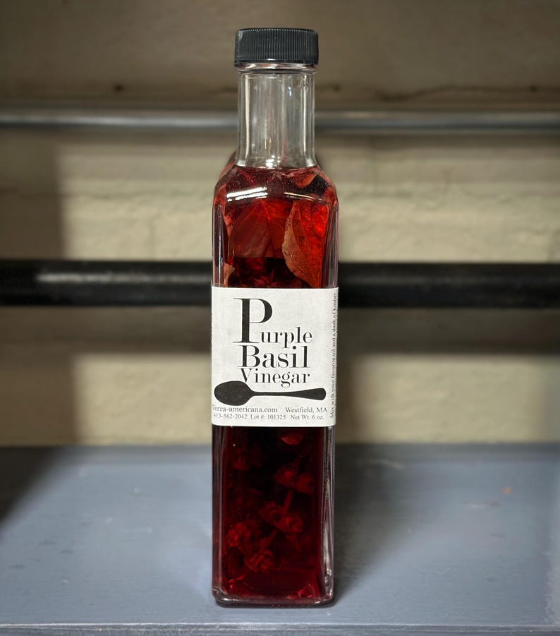 Gourmet Herbal Vinegars-Assorted Flavors Purple Basil
