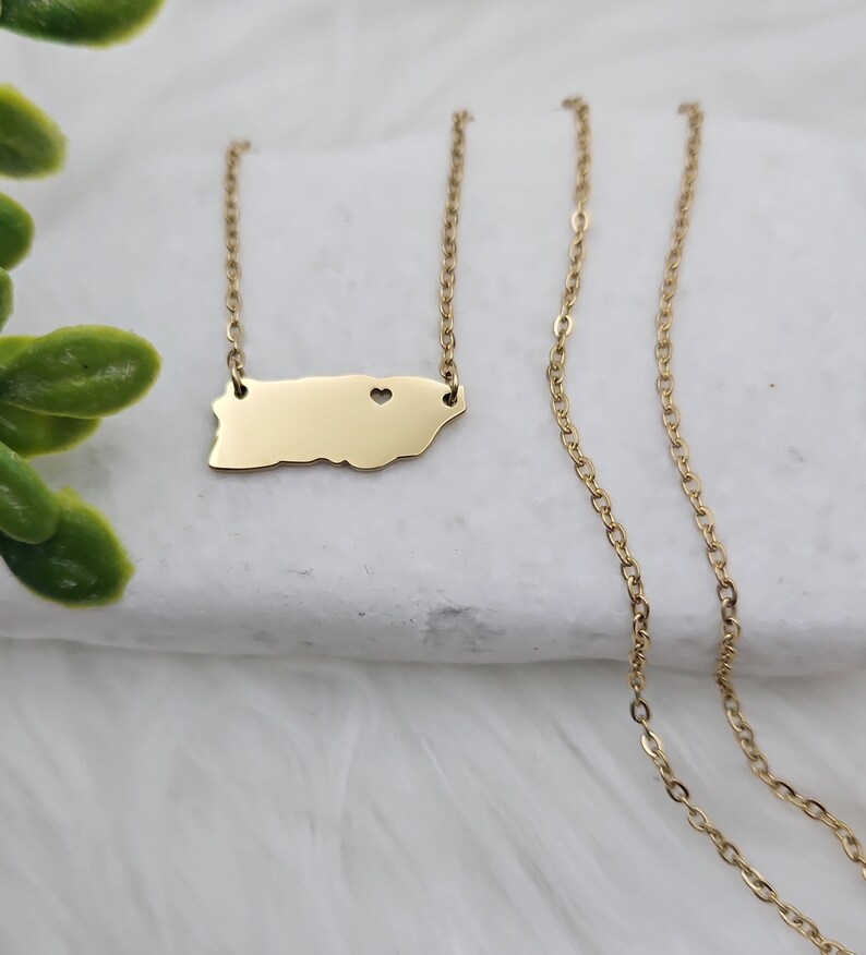 May include: Gold necklace featuring a pendant shaped like the outline of Puerto Rico with a small heart cutout. The chain is a delicate, linked style.