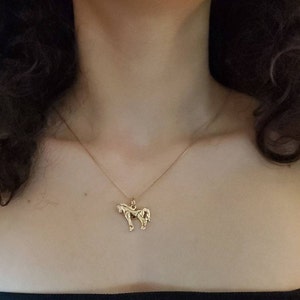 Gold Horse Necklace: 14k Layered Pendant, Horse Lover Gift