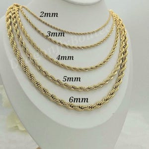 May include: A selection of gold-coloured rope chain necklaces, displayed on a white bust. The necklaces vary in thickness, from 2mm to 6mm, with sizes labelled. The chains have a bright, shiny gold finish.