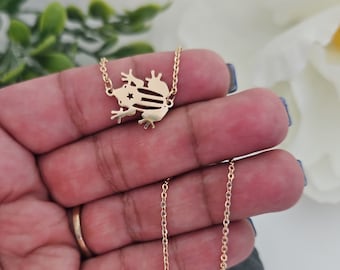 Gold Coqui Halskette: Porto Rico Edelstahl Anhänger