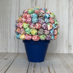 Personalized Lollipop Bouquet/your choice color and text