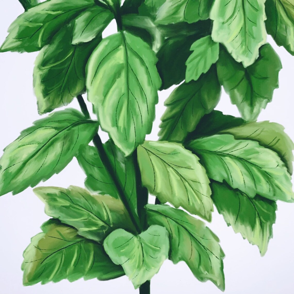 Peppermint Peppermint Art Calming Decor Peppermint Plant Etsy