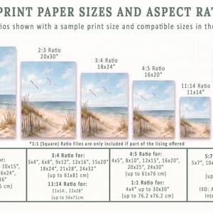 Op de afbeelding: Grafiek met Amerikaanse afdrukpapierformaten en beeldverhoudingen, waaronder 2:3, 3:4, 4:5, 5:7 en 1:1. Voorbeeldafmetingen met strandillustratie. Maten in inches en cm.
