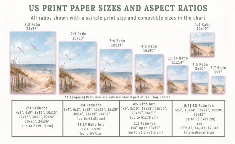 Op de afbeelding: Grafiek met Amerikaanse afdrukpapierformaten en beeldverhoudingen, waaronder 2:3, 3:4, 4:5, 5:7 en 1:1. Voorbeeldafmetingen met strandillustratie. Maten in inches en cm.