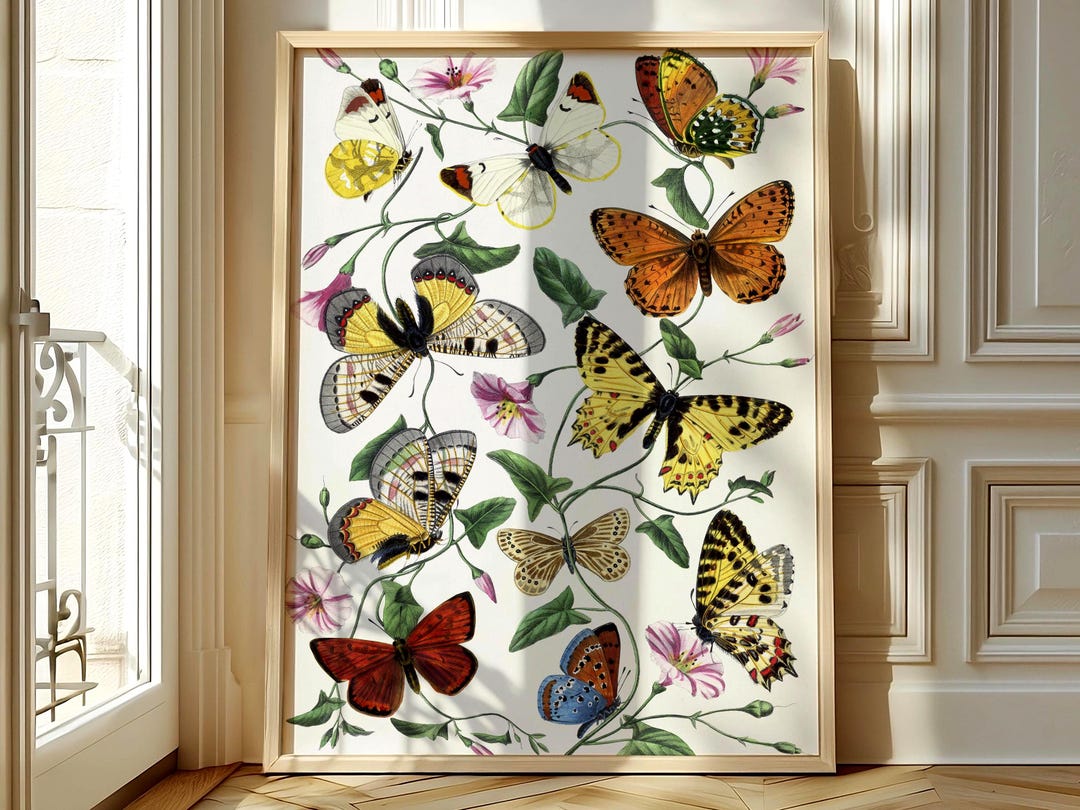 Vintage Butterfly Botanical Wall Print Art 19th Century Entomological ...