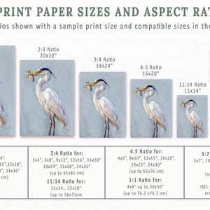 K&ouml;nnte beinhalten: Eine Tabelle mit US-amerikanischen Druckpapierformaten und Seitenverh&auml;ltnissen. Sie enth&auml;lt Beispiele f&uuml;r Kunstwerke mit einem Reiher und einer Strandszene. Die Tabelle listet Gr&ouml;&szlig;en wie 61x91,5 cm, 50,8x76,2 cm und 30,5x30,5 cm mit entsprechenden Seitenverh&auml;ltnissen auf.