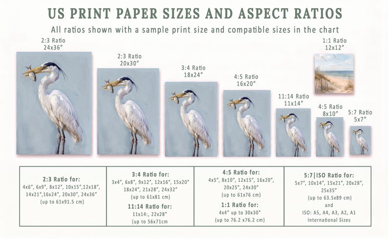 K&ouml;nnte beinhalten: Eine Tabelle mit US-amerikanischen Druckpapierformaten und Seitenverh&auml;ltnissen. Sie enth&auml;lt Beispiele f&uuml;r Kunstwerke mit einem Reiher und einer Strandszene. Die Tabelle listet Gr&ouml;&szlig;en wie 61x91,5 cm, 50,8x76,2 cm und 30,5x30,5 cm mit entsprechenden Seitenverh&auml;ltnissen auf.