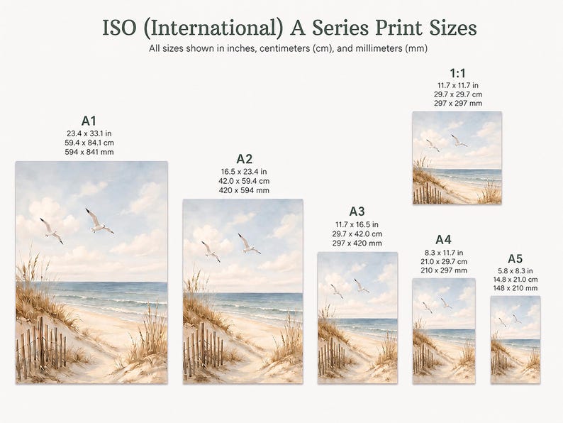 K&ouml;nnte beinhalten: Eine Serie von Kunstdrucken zum Thema Strand in verschiedenen Gr&ouml;&szlig;en, darunter A1 (59,4 x 84,1 cm), A2 (42,0 x 59,4 cm), A3 (29,7 x 42,0 cm), A4 (21,0 x 29,7 cm) und A5 (14,8 x 21,0 cm), sowie ein quadratischer Druck 1:1 (29,7 x 29,7 cm). Die Drucke zeigen eine Strandszene mit M&ouml;wen.