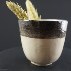 May include: A white ceramic cup with a black rim and a brown band around the middle. The cup is sitting on a black slate surface. There are two dried flower buds on the rim of the cup.