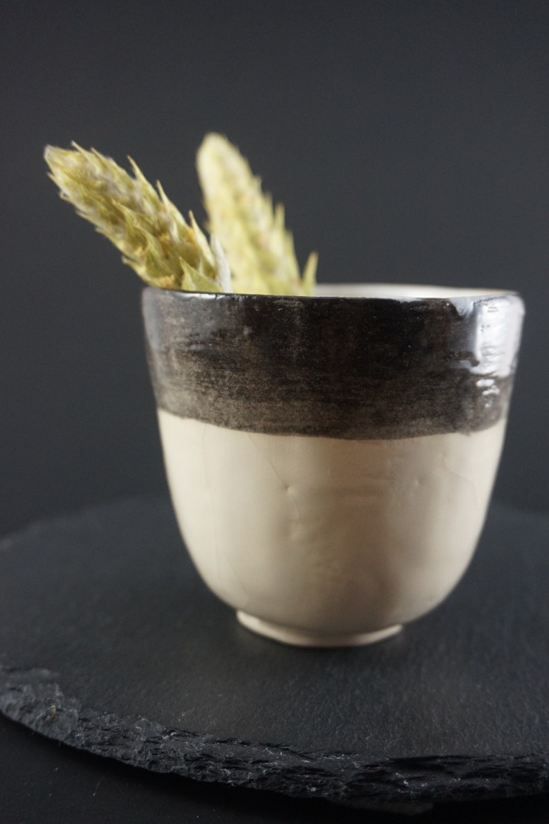 May include: A white ceramic cup with a black rim and a brown band around the middle. The cup is sitting on a black slate surface. There are two dried flower buds on the rim of the cup.