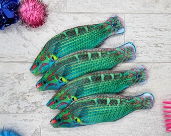 Coral Reef Wrasse- Refillable Catnip Toy With Crinkle
