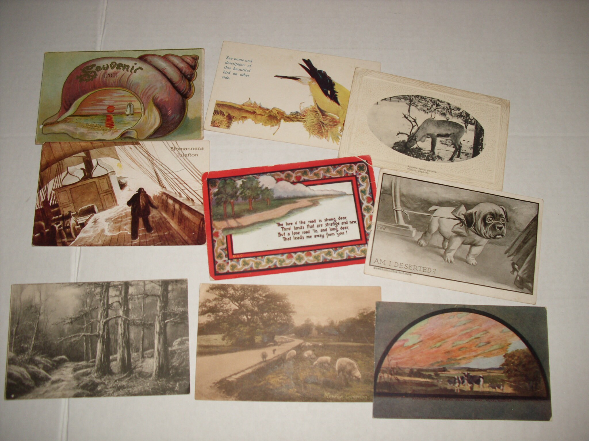 33 Assorted Miscellaneous Postcards. Early 1900s. Etsy