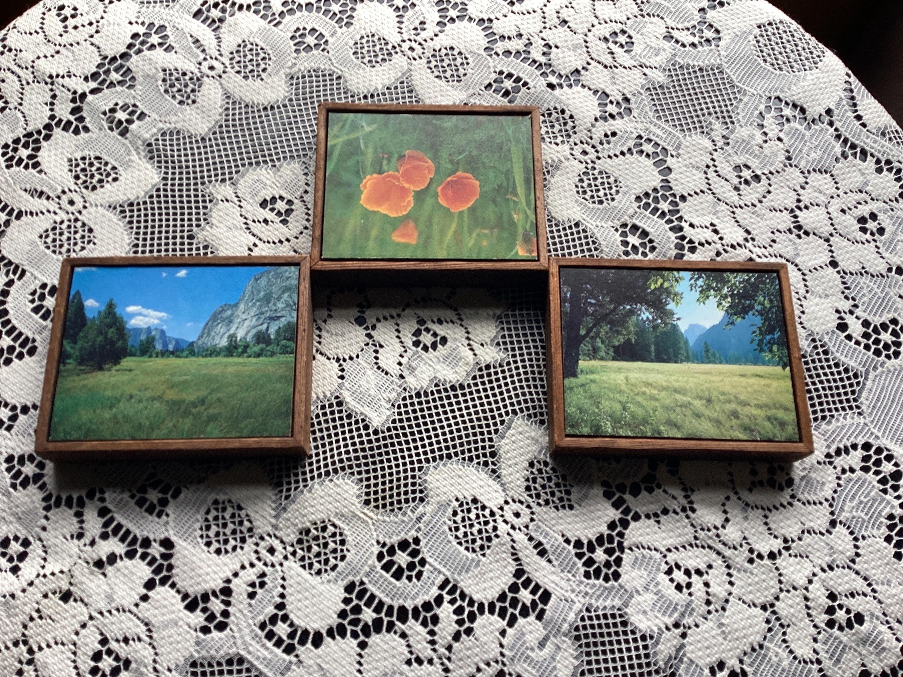 Vintage Framed Art Exclusively for Bambergers Wall Hanging 5 1/2