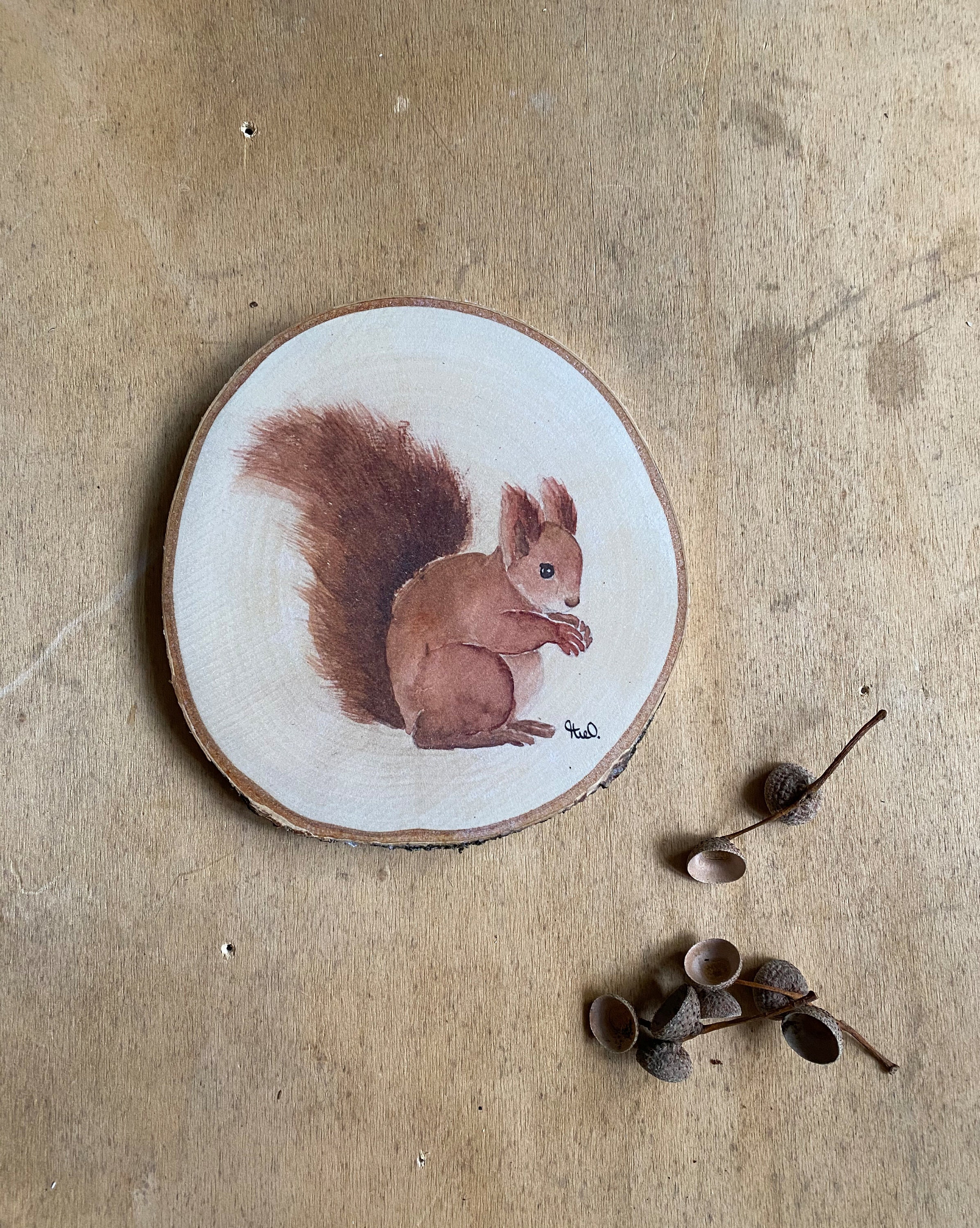 Squirrel branch disc / wall picture / autumn decoration / children's room decoration