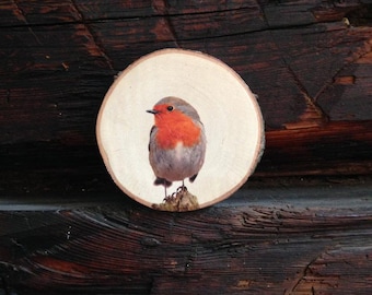 Picture Robin Branch Disc / Birch