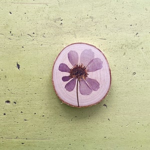 picture flower purple