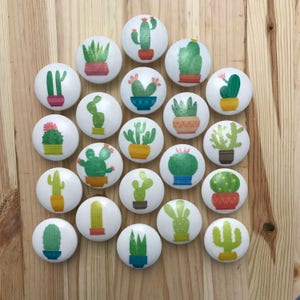 May include: Set of 18 white round cabinet knobs with colorful cactus designs. Each knob features a different cactus species in a pot.