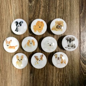 SET OF SIX,Dogs,cabinet knobs,border collie,pomeranian,Sharpei,corgi,King Charles,Maltese,schnauzer,chihuahua,papillon,English bulldog
