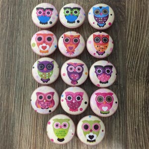 May include: Set of 16 colorful owl drawer knobs with a white background and pink polka dots. The owls have different colored eyes, beaks, and feathers.